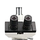 Trinocular Biological Microscope