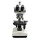 Trinocular Biological Microscope
